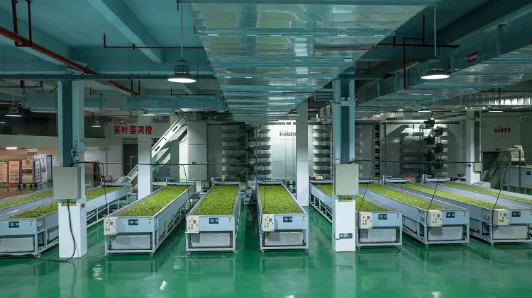 productcate-1-1 p202407031709513be71.jpg (750×421)