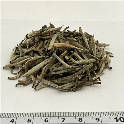 Jasmine Silver Tip